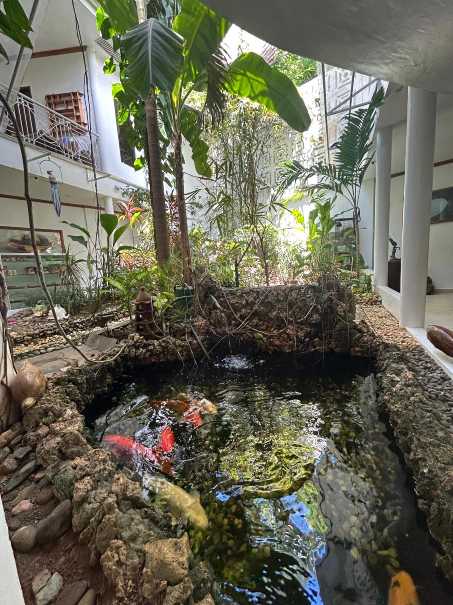 Argonauta Boracay Apartment Suites And Villas Boracay Island Ngoại thất bức ảnh